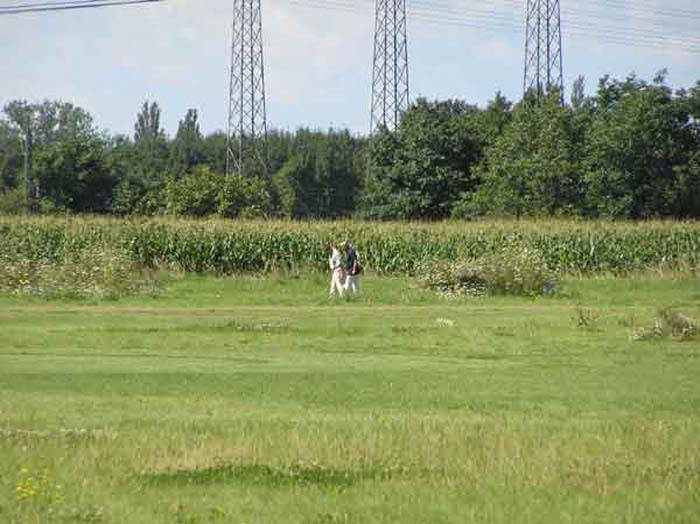 2005_Golf-007