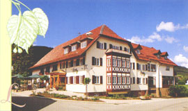 Linde Hofstetten